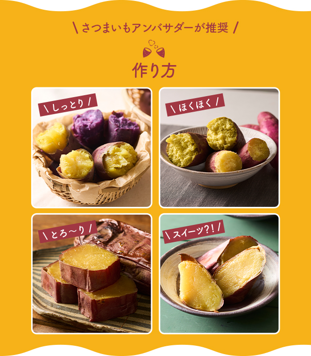 焼き芋メーカー BakeFree(ベイクフリー) WFA-121BK【KA】 | DOSHISHA