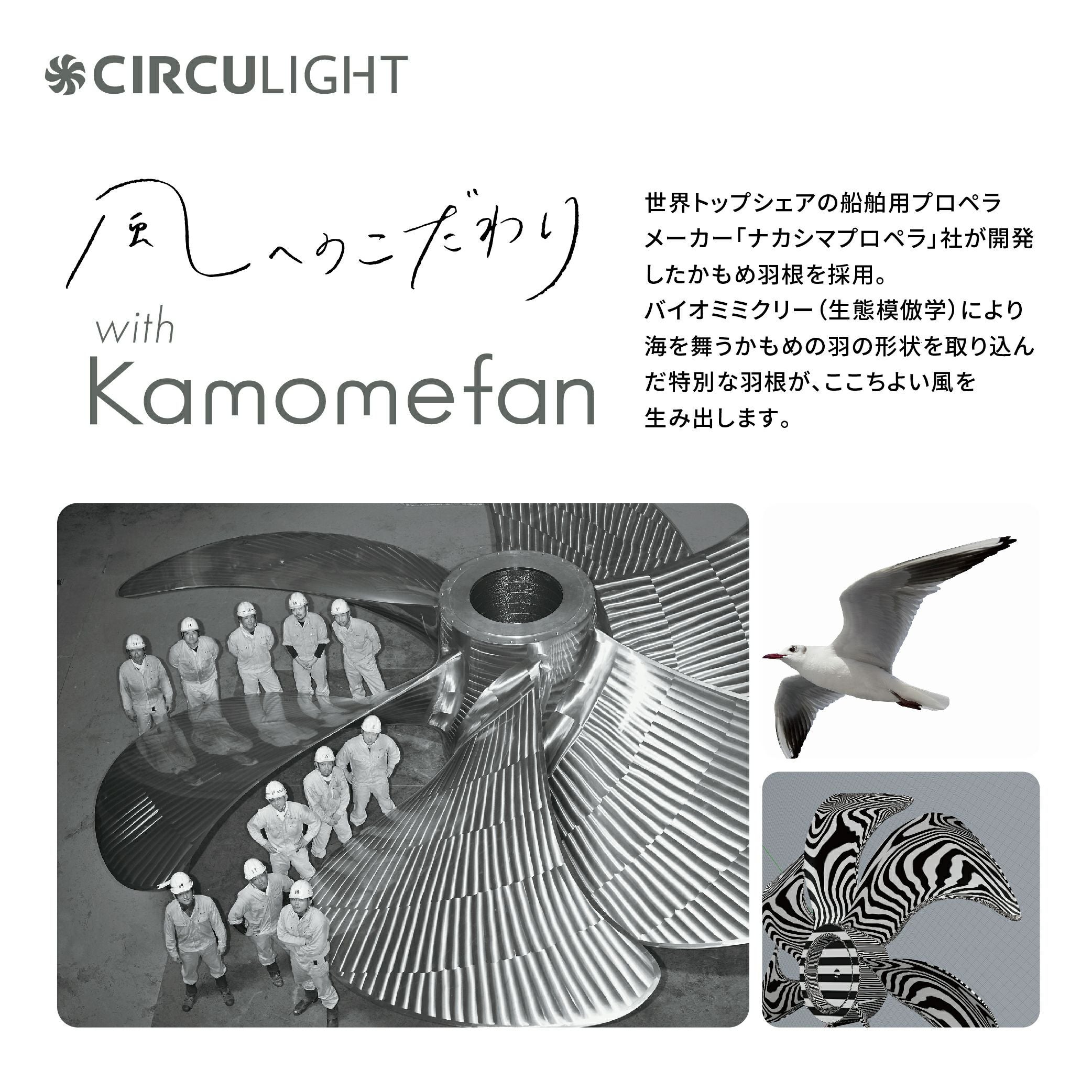 扇風機・サーキュレーター CIRCULIGHT EZ SERIES SWING MODEL CIRCULIGHT(サーキュライト) EZシリーズ スイングモデル 8畳タイプ DCC