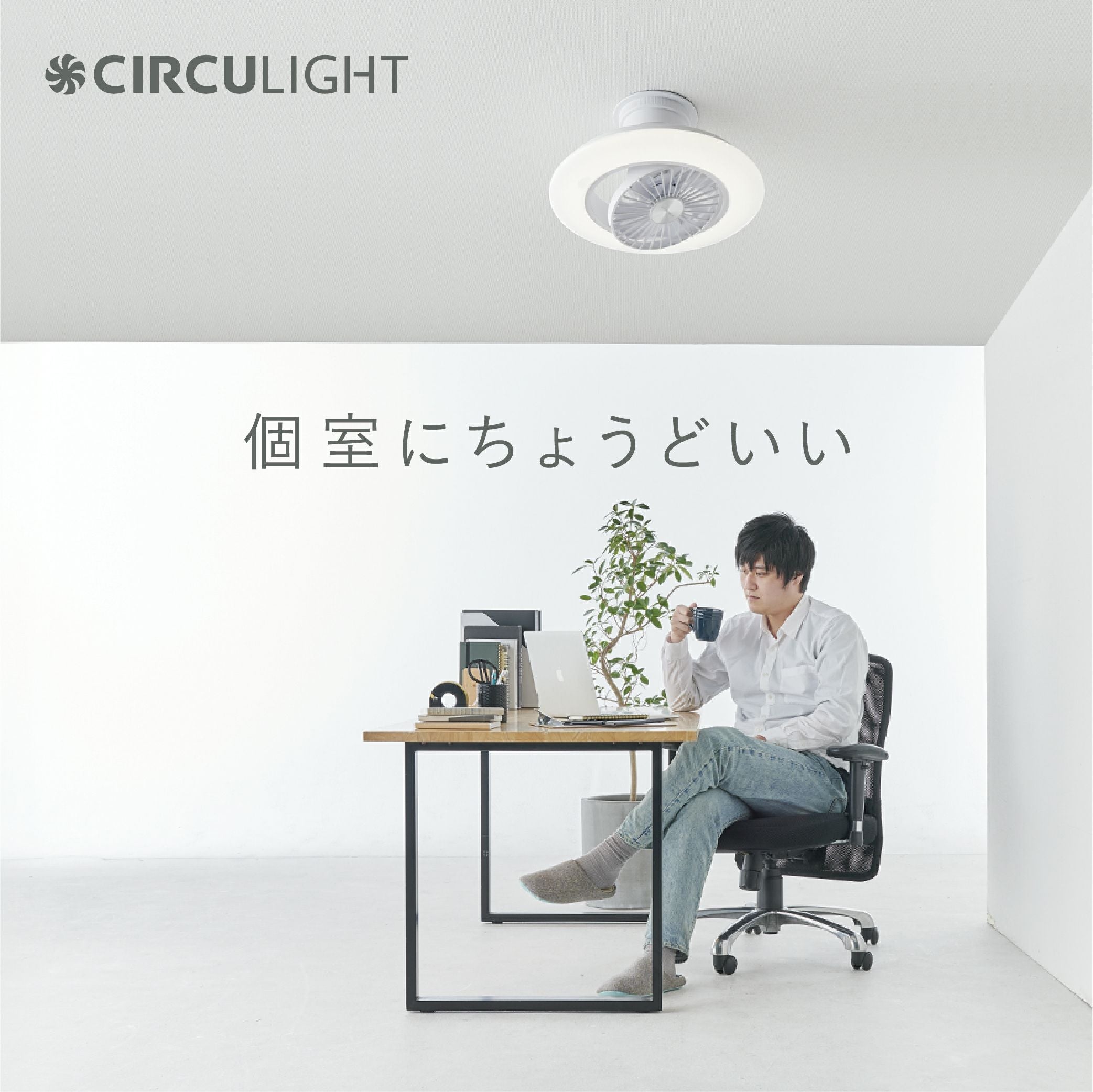 CIRCULIGHT(サーキュライト) EZシリーズ スイングモデル 6畳タイプ DCC