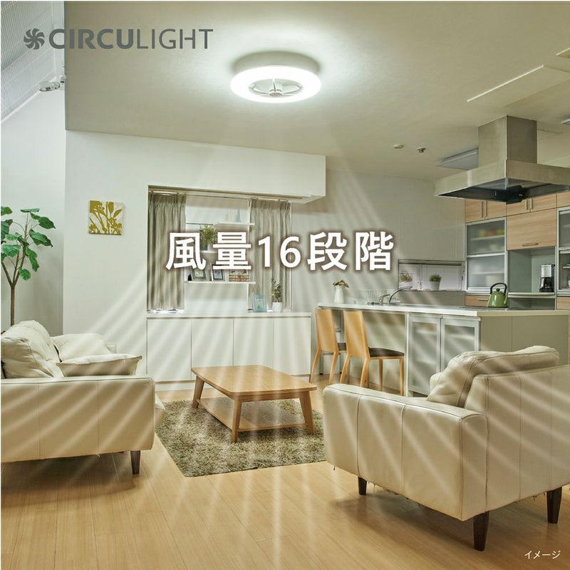 CIRCULIGHT(サーキュライト) シーリングシリーズ 12畳タイプ DCC-A12CM 