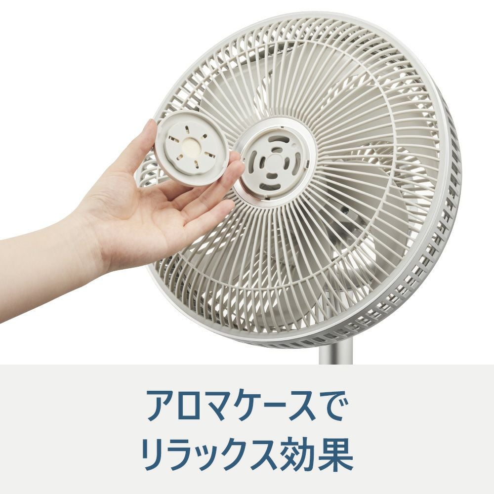 Kamomefan (カモメファン) +c lite シャンパンゴールド 扇風機 K