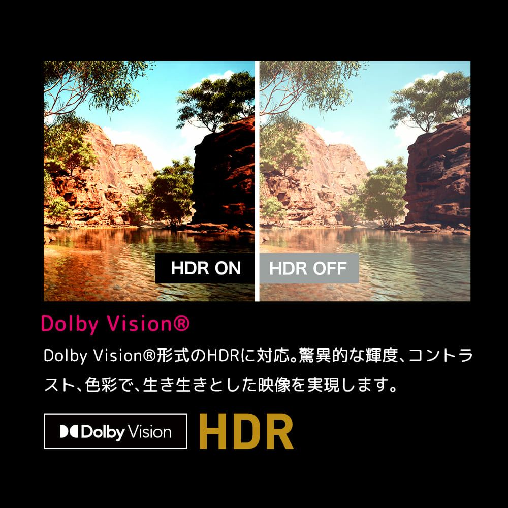 orion 75インチ 2025 GL751U google TV 1621 GL751U 4K チューナーレススマートテレビ 1台 オリオン(ORION) 【通販