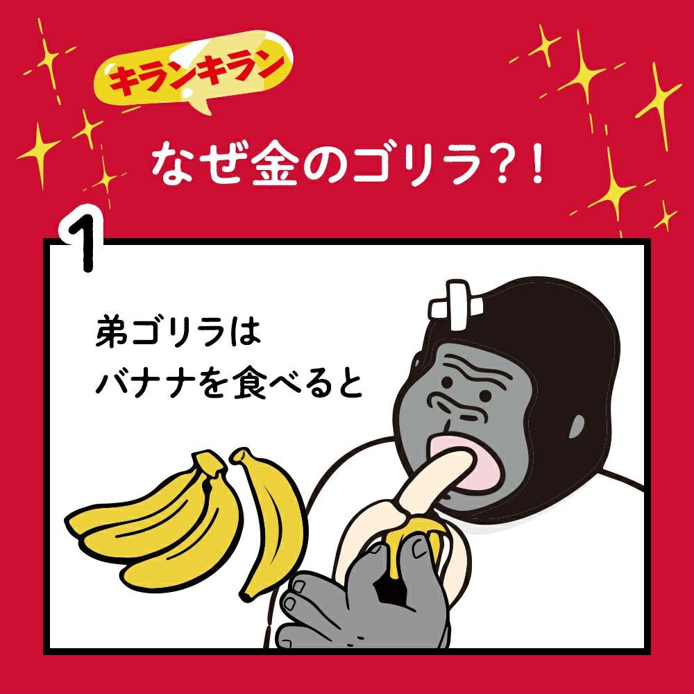 ◇大決算◇金のゴリラのひと磨き IH対応 フライパン 24cm 深型