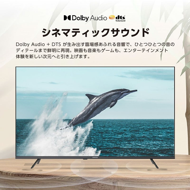 ドウシシャ coocaa(クーカ) GoogleTV搭載 Wチューナー内蔵（地上・BS 