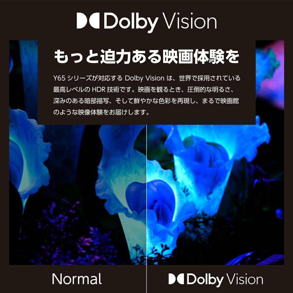 ドウシシャ coocaa(クーカ) GoogleTV搭載 Wチューナー内蔵（地上・BS