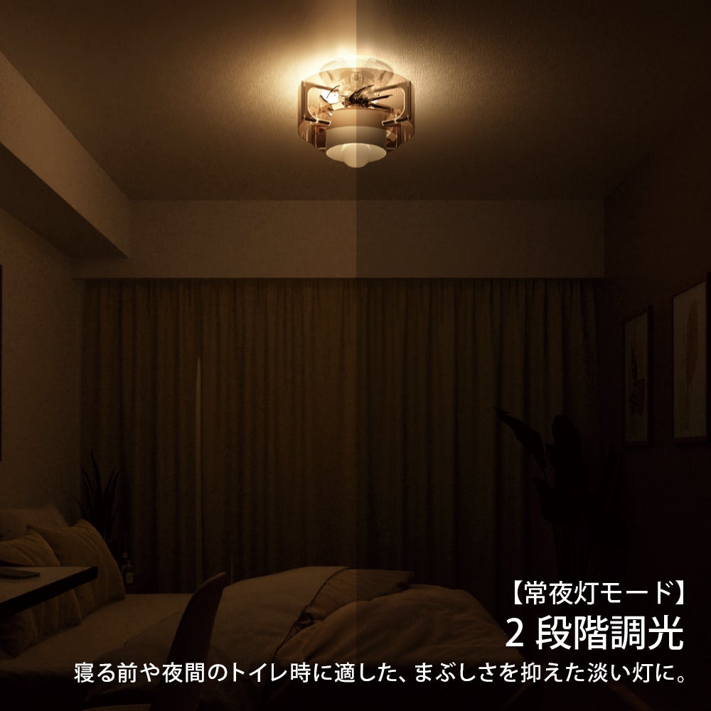 CIRCULIGHT(サーキュライト) HELIX(ヘリックス) DCC-B25LE 【SH