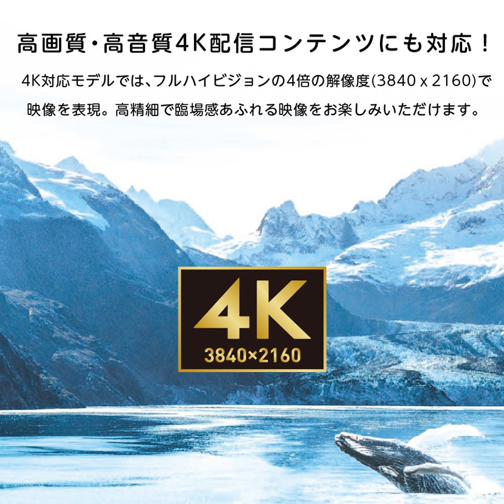 ORION(オリオン) GoogleTV搭載 チューナー内蔵（地上波・BS・CS対応